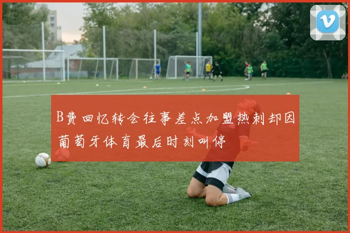 B费回忆转会往事差点加盟热刺却因葡萄牙体育最后时刻叫停