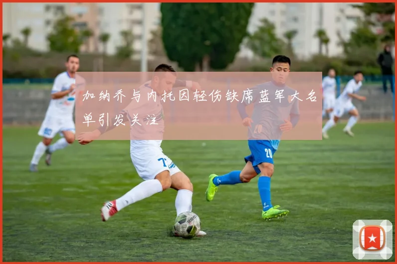 加纳乔与内托因轻伤缺席蓝军大名单引发关注
